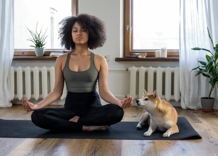 meditatewdog